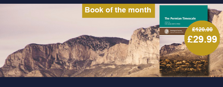 Book of the month october the perennial timescale